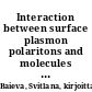 Interaction between surface plasmon polaritons and molecules in strong coupling limit