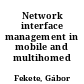 Network interface management in mobile and multihomed nodes