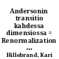 Andersonin transitio kahdessa dimensiossa = Renormalization group study of Anderson localization in two dimensions