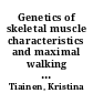 Genetics of skeletal muscle characteristics and maximal walking speed among older female twins