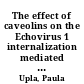 The effect of caveolins on the Echovirus 1 internalization mediated by α2β1 integrin